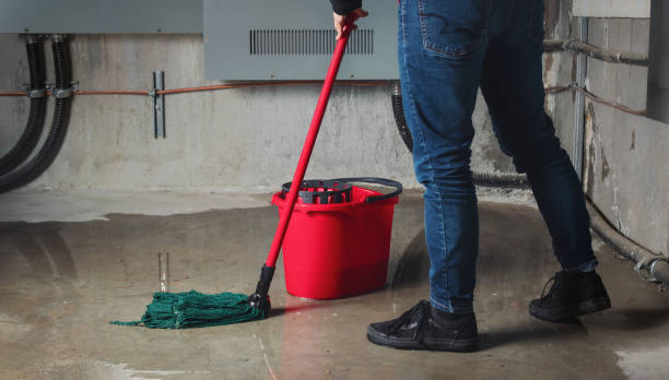 Best Fire Damage Restoration  in Larkfield Wikiup, CA