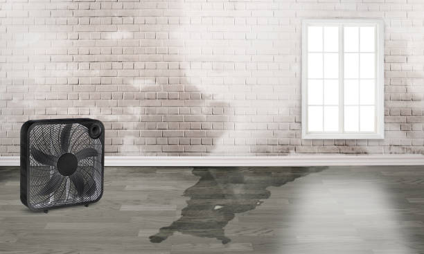 Fire Damage Restoration in CA