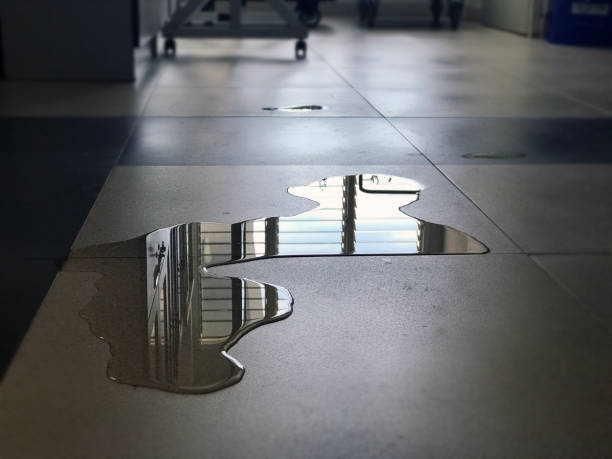 Best Water damage contractors near me  in Larkfield Wikiup, CA