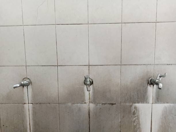 Best Water damage restoration near me  in Larkfield Wikiup, CA