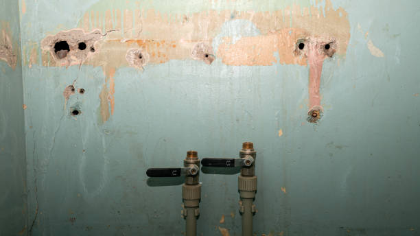 Best 24/7 water damage repair  in Larkfield Wikiup, CA